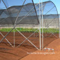 Green house sun shade net/HDPE sun shade net for Africa/hdpe sun shade net